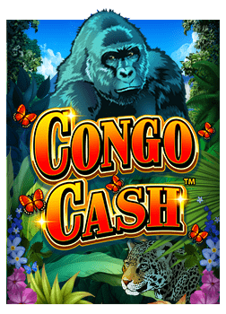 ว ธ เล น ค า ส โน sbobet สำหรับมือใหม่ ทดลองเล่นสนุกๆ